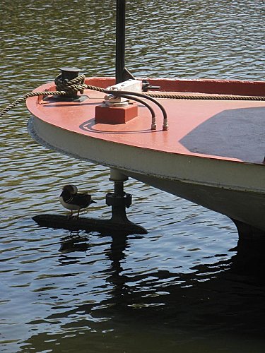 bord de l'erdre