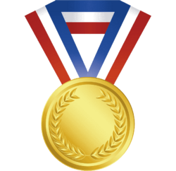 Les CE2-CM1 médaillés d'OR