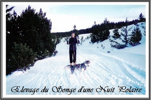 Sport et Husky Ski Joring