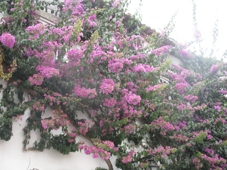 OBIDOS  AU  PORTUGAL