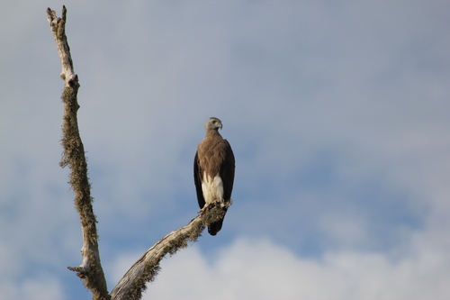 Tissamaharama et le parc de Yala du 25 au 26 février 2015