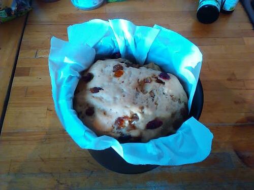 **Noël**Panettone Cranberries/raisins/orange  {Vegan}