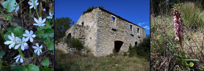 * La Montagne de Santa Magdalena