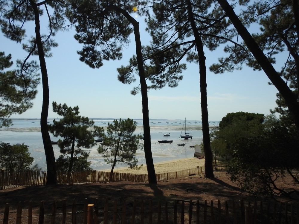 Pique-nique à Petit-Piquey, sur la presqu'île de Lège-Cap-Ferret...