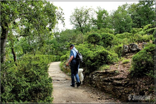 Les Jardins Suspendus de Marqueyssac Dordogne vers le Belvédère