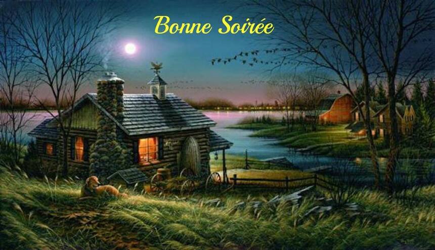 Bonsoir tout le monde 