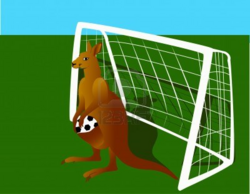KANGOUROU : Un kangourou qui joue au football