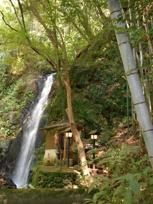 Jungle, cascades et onsen