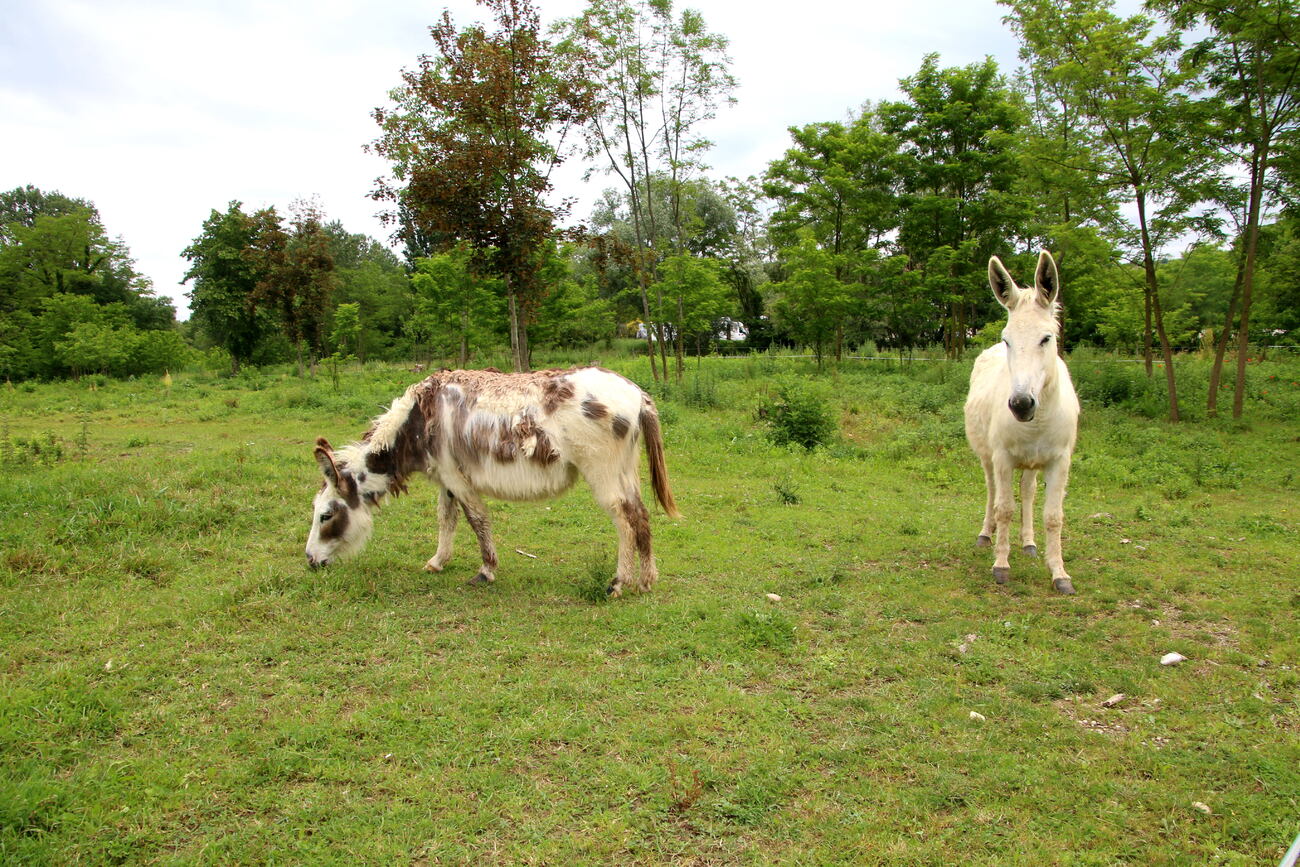 Une petite rencontre