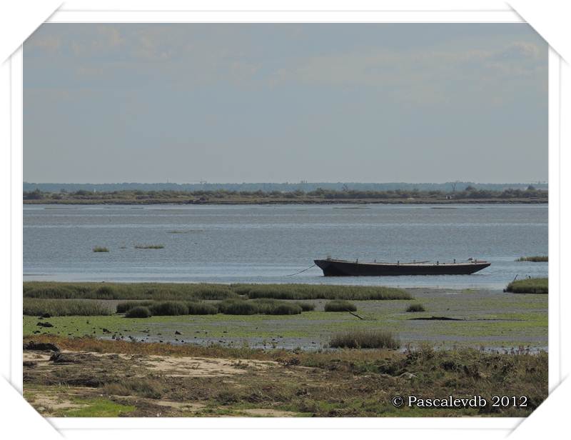 Le sentier du littoral entre Lanton et Taussat - 10/10