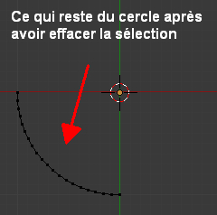 Appuyer sur X puis cliquer sur Vertices pour effacer la sélection