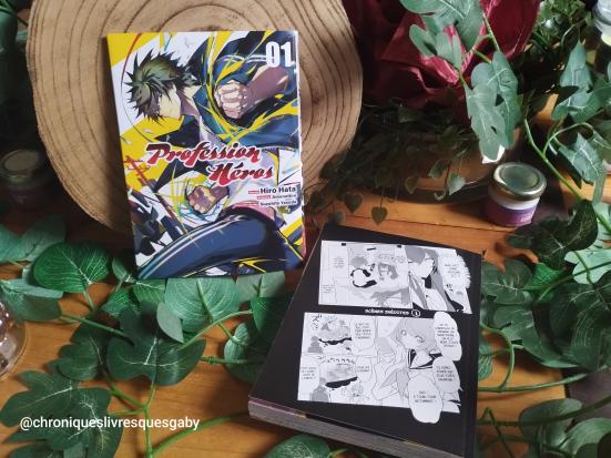 Profession héros, tome (Amanattou)