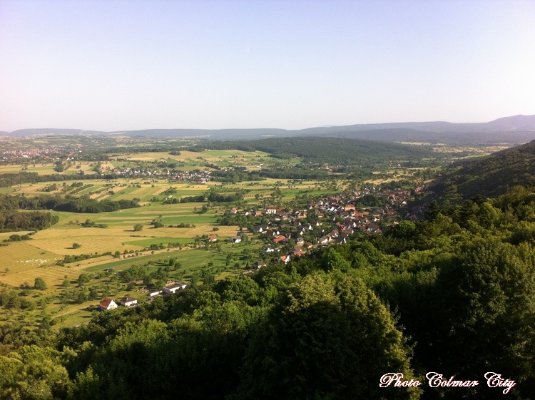 Château du Haut-Barr (67) : Historique