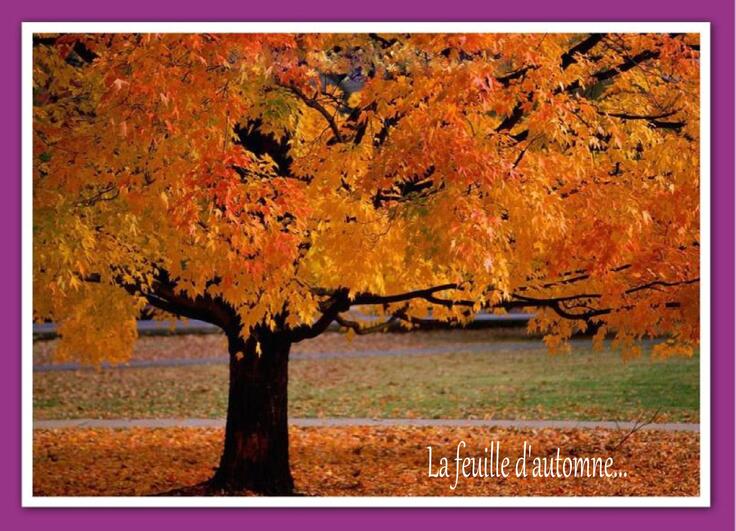 La feuille d'automne...