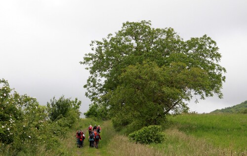 27.05.2024.Rando Vic le Comte 11 kms