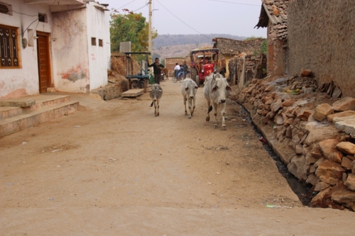 Bijaipur, visite du village