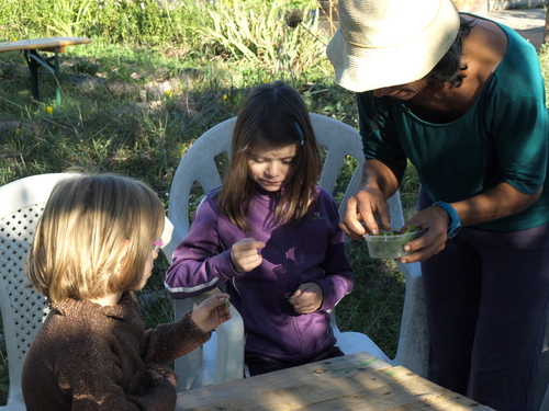 Sortie dans les jardins de l' association VIE.