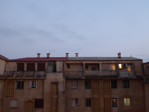 Les toits d'Alger