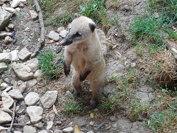 Des nouveautés au Parc de l'Auxois....