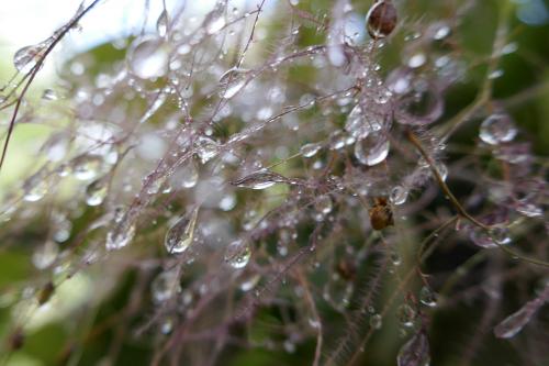 Le cartoscope du dimanche 14 juillet 2024