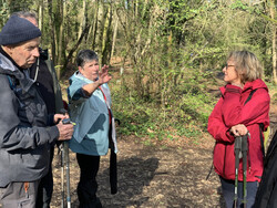 A Maidière Forêt de Puvenelle 3