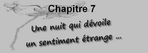 CHAPITRE VII