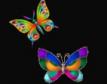 Papillons