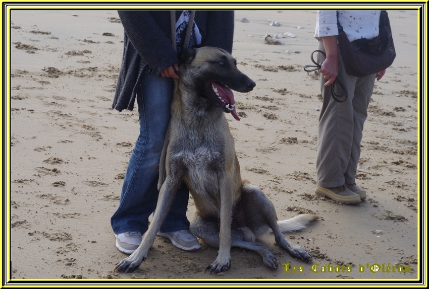 Rando " Amandine "   dimanche 28 septembre 2014