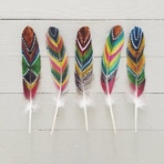 Image de feather, colors, and hipster
