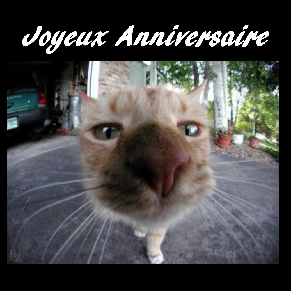 Joyeux Anniversaire