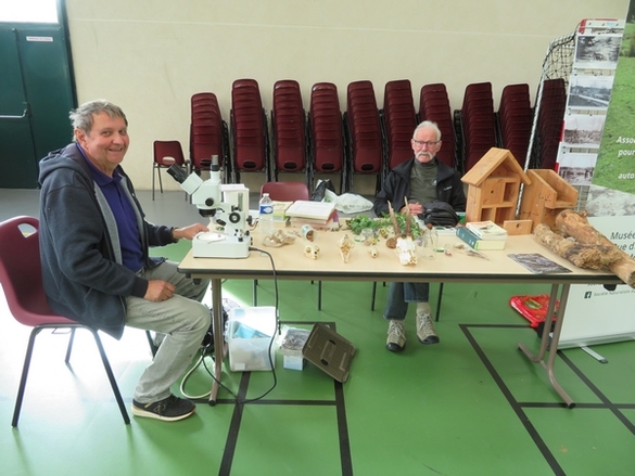 beaucoup d'artistes et artisans d'Art ont exposé au "salon des champignons" 2023 de la Société Mycologique du Châtillonnais