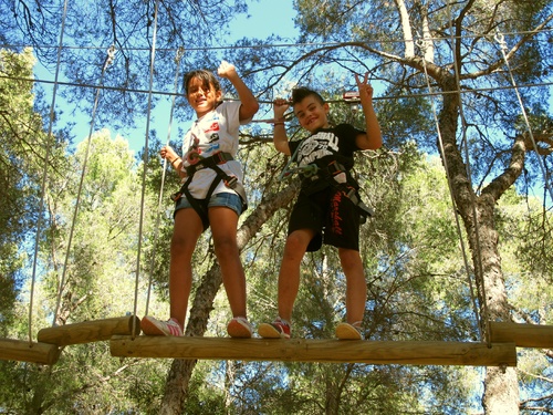 Cassis: Avec Cassis-Forest, accrochez-vous aux branches !