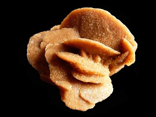 Rose des sables