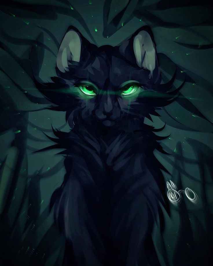Hey, here&amp;#39;s a hollyleaf kid for all of you who have a good life -  #medibang #medibangpai ... - Warrior… | Warrior cat drawings, Warrior cats  art, Warrior cats