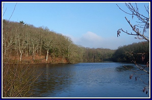 lac-de-savenay1.jpg