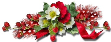 Shawn Mendes - Stitches 