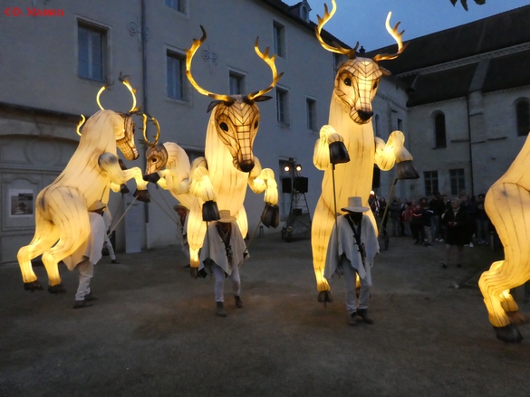 La Nuit des Musées a proposé une déambulation nocturne  pour fêter les quinze ans du nouveau musée de Châtillon sur Seine...