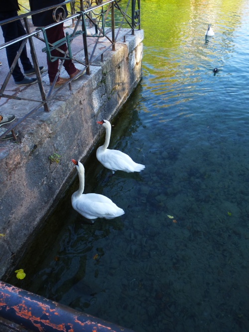       ANNECY,  LA VENISE DES ALPES