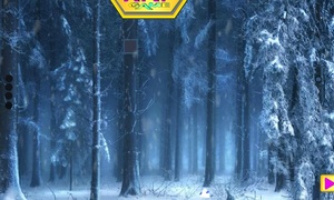 Jouer à Mysterious snow forest escape