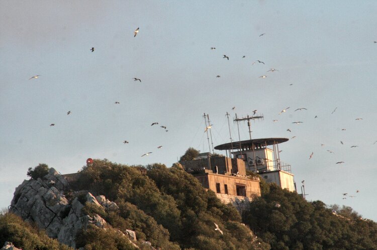 Au revoir Gibraltar ...