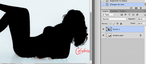 Créer vos propres silhouettes (partie 1)