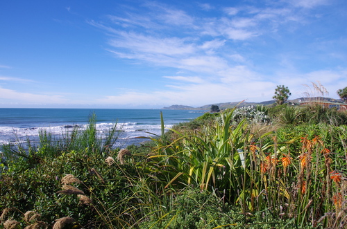 Nouvelle-Zélande #11 de Dunedin à Bluff - Les Catlins 