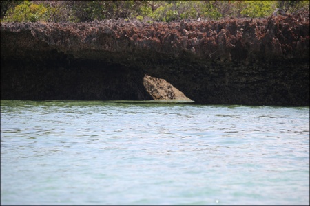 Safaris Blue, Zanzibar. 2023.