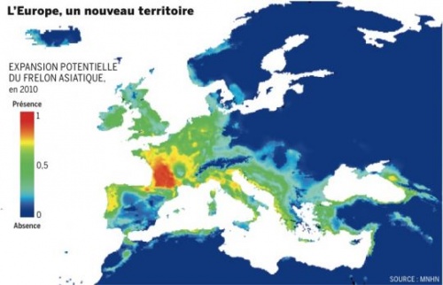 progression du frelon asiatique en France 