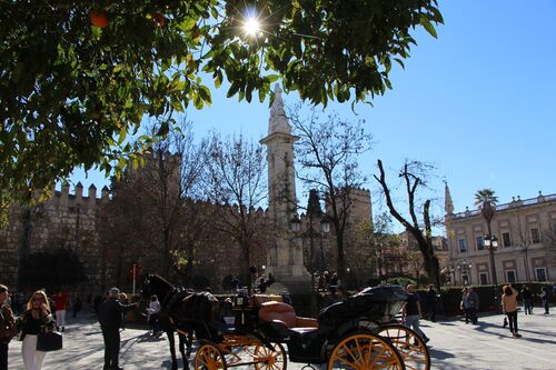 2019 Seville
