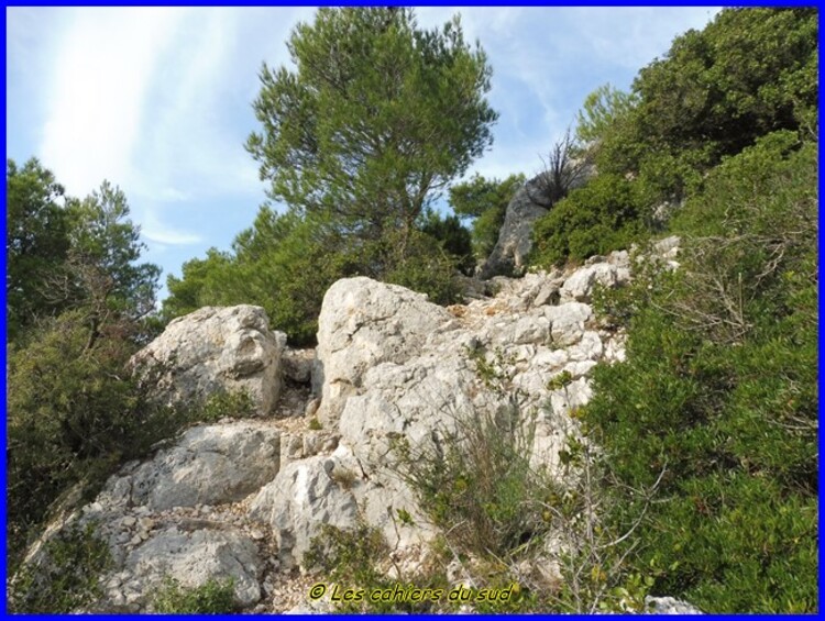 Calanques, le belvédère céleste de Titou Ninou