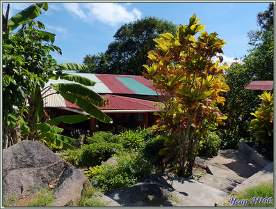 Habitation typique à Anse La Blague - Praslin - Seychelles