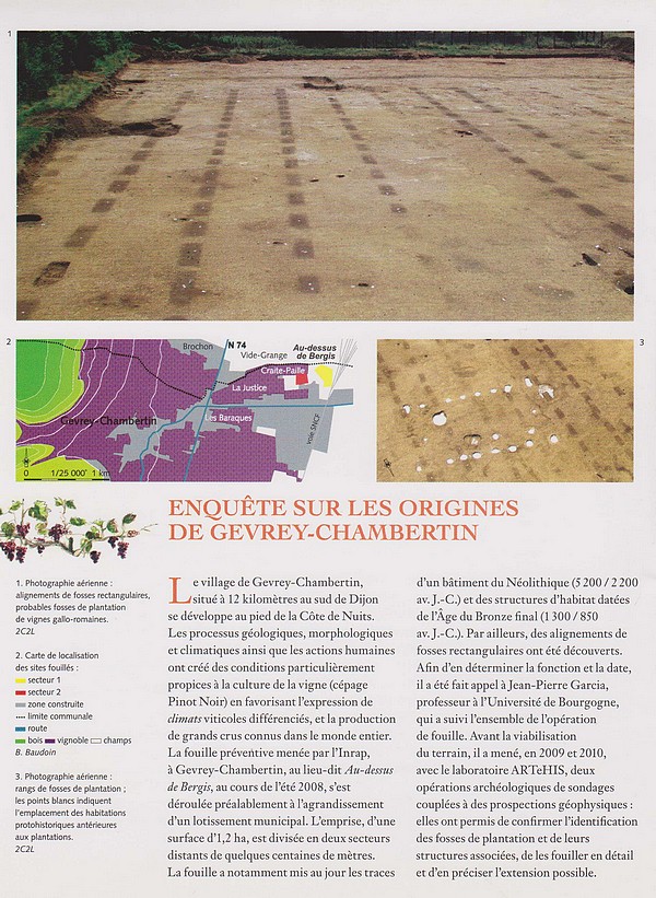 Sébastien Chevrier de L'INRAP, a présenté une conférence sur les origines de la vigne à Gevrey-Chambertin(Côte d'Or)