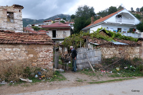 Pustec (Albanie) : les ânes au village