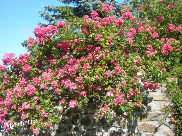 poeme rencontre nature